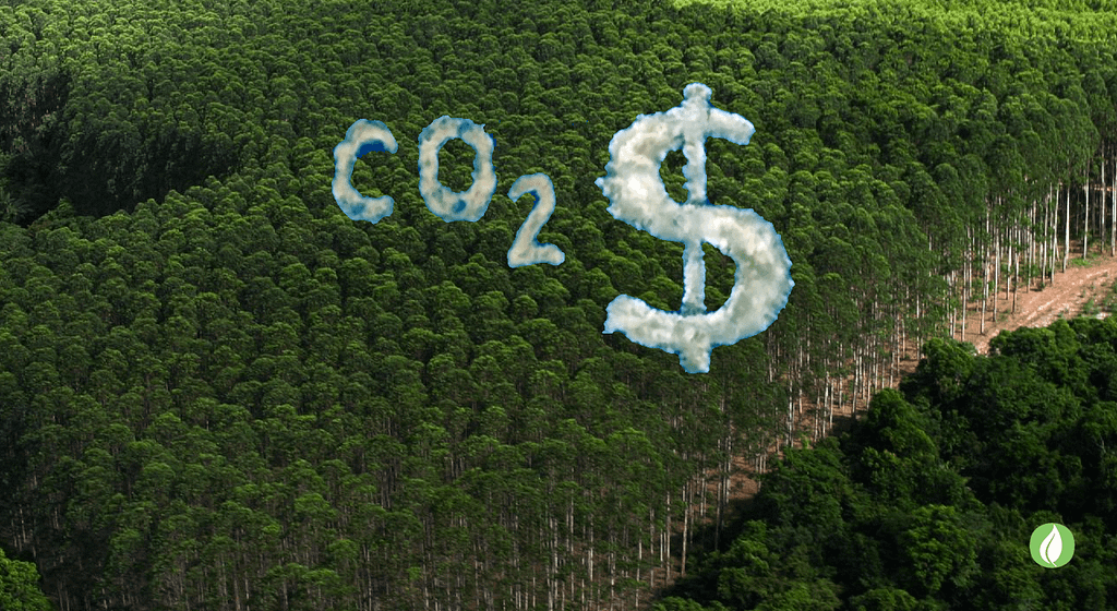 Mercado de crédito de carbono