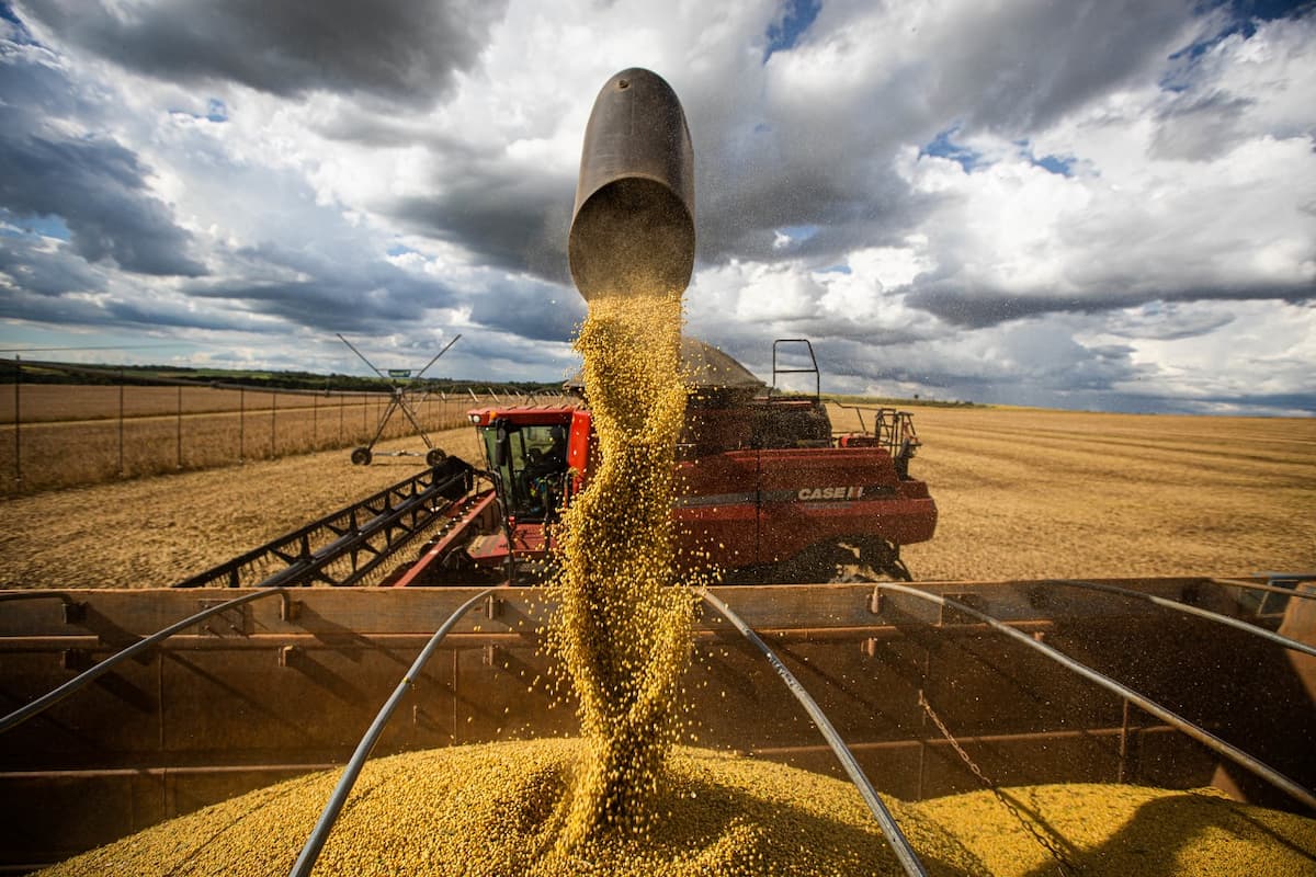 Safra paulista de grãos 2022/23 é estimada em 10 milhões de toneladas