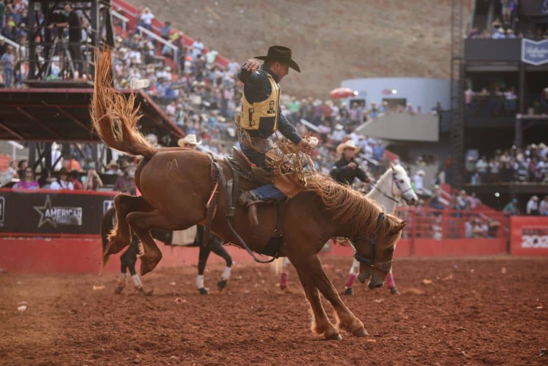 28ª edição do Barretos International Rodeo movimenta a arena do Barretão