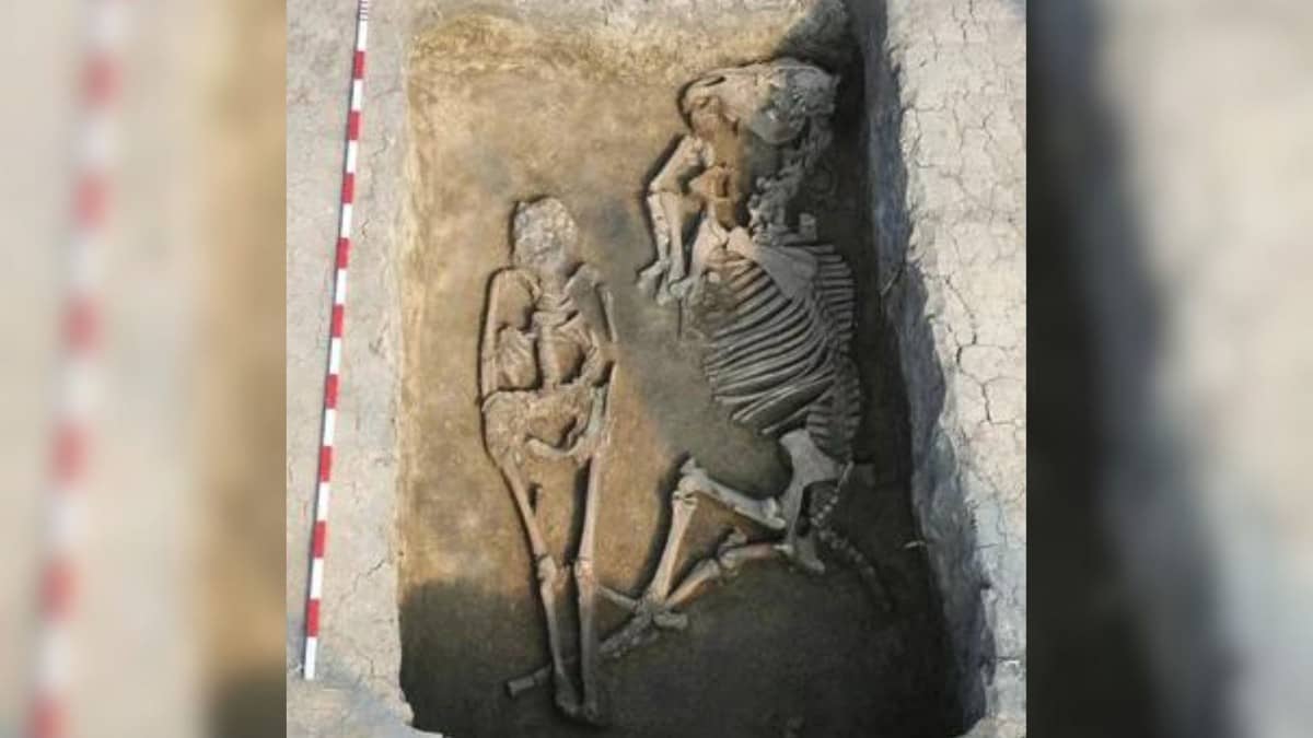 Arqueólogos acham esqueleto com cavalo e mais 400 outros enterros na Hungria | Arqueologia
