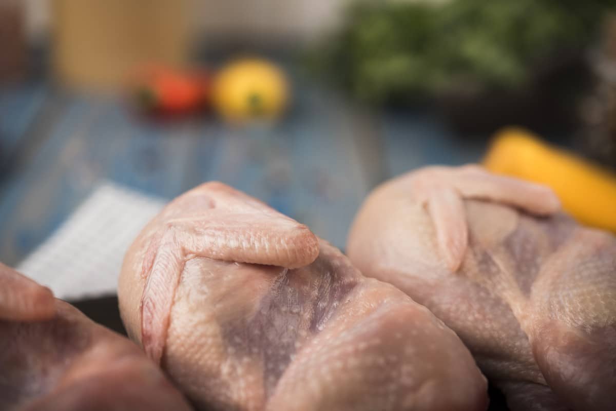 Carne de frango segue mais competitiva do que a suína, informa Cepea | Aves