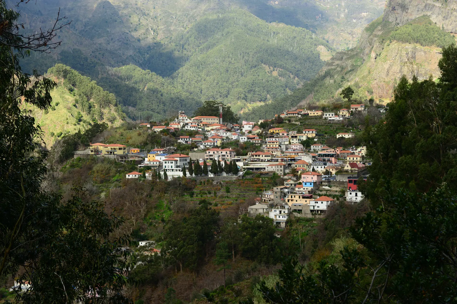 Madeira: Curral das Freiras vive do turismo e da produção de castanha, mas falta investimento