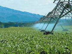 Sistema de Classificacao de Terras de Irrigacao agora abrange soja