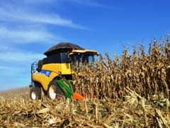 Brasil colheu quase 30% da 2ª safra de milho, MT dita ritmo, diz Pátria...