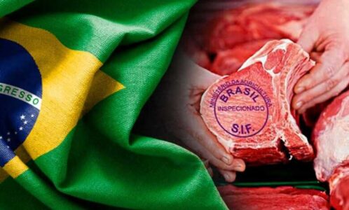 carne certificada brasileira agronews 780x470 1 optimized