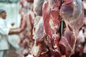 ABPA diz que indústria exportadora de carne bovina participará do Siavs 2024