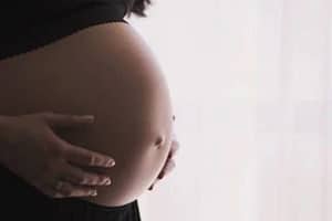 Projeto realiza inseminação artificial gratuita em Itapecerica da Serra; veja como se inscrever