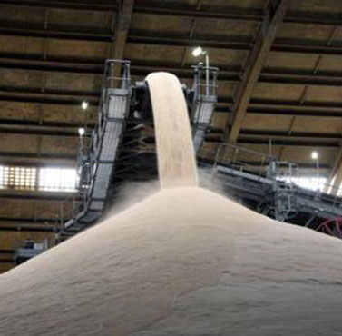 Culturas de milho soja e acucar podem beneficiar o setor