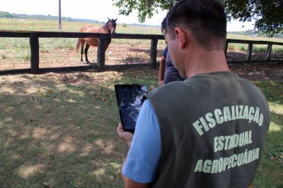 Utilizando tablets, Agência Agropecuária do Pará moderniza atendimento no campo