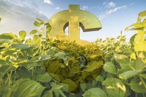 Plano Safra - 15 bilhões de Credito para o Agro