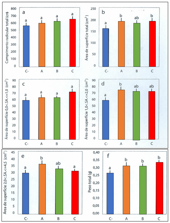 Figura 6 – Características radiculares e peso seco total de plântulas de milho após sete dias de tratamento com os bioestimulantes A (54,4 μl.l-1), B (5,0 μl.l-1) e C (5,0 μl.l-1) e controle negativo (C-). (a) Comprimento radicular total (cm), (b) área de superfície total (cm2), (c) área de superfície de raízes com diâmetro entre 0 e 1 mm (cm2), (d) área de superfície de raízes com diâmetro entre 1 e 2 mm (cm2), (e) área de superfície de raízes com diâmetro entre 2 e 4,5 mm (cm2), (f) peso seco total (g).
