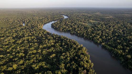 Como são o clima e a vegetação na floresta amazônica?