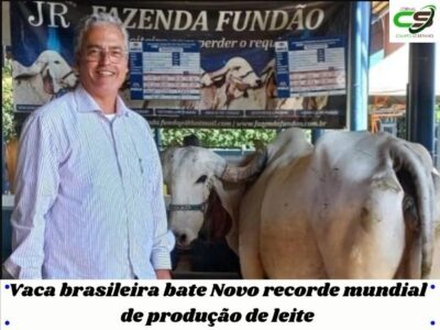 Vaca brasileira bate Novo recorde mundial de producao de leite