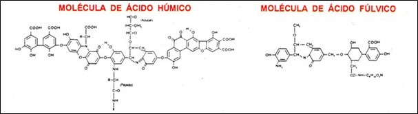 Figura 3 - Estruturas moleculares dos ácidos húmicos e fúlvicos. Disponível em: https://th.bing.com/th/id/R.795ac904041a4a90e4bbf498c0e32282?rik=WV3lsFzh%2fO%2fwCg&riu=http%3a%2f%2fwww.acidoshumicos.com%2fwp-content%2fuploads%2fmoleculas-de-acidos-humicos-y-fulvicos.jpg&ehk=iwDBCe8RSnWrDC7iK0RZGf1navl%2f%2bh8eGpkSVv5TWxw%3d&risl=&pid=ImgRaw&r=0.