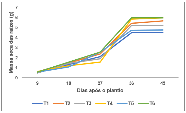 Gráfico 4 – Massa seca das raízes (g), no período de 9 a 45 dias após o plantio, entre os diferentes tratamentos.