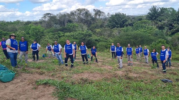 Colaboradores da Usina Pedra do Cavalo auxiliam na preservação do Rio Paraguaçu e do Meio Ambiente - noticias, muritiba
