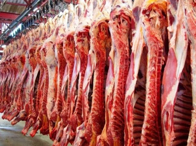 USDA China deve importar mais carne bovina e suina em