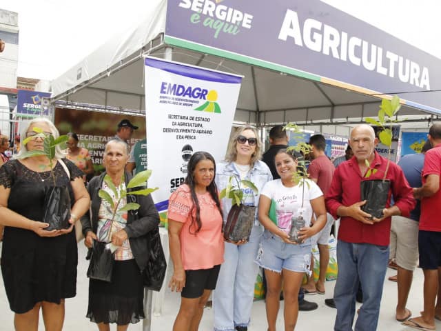 Agricultores recebem mudas frutíferas da Emdagro / Fotos: Vieira Neto
