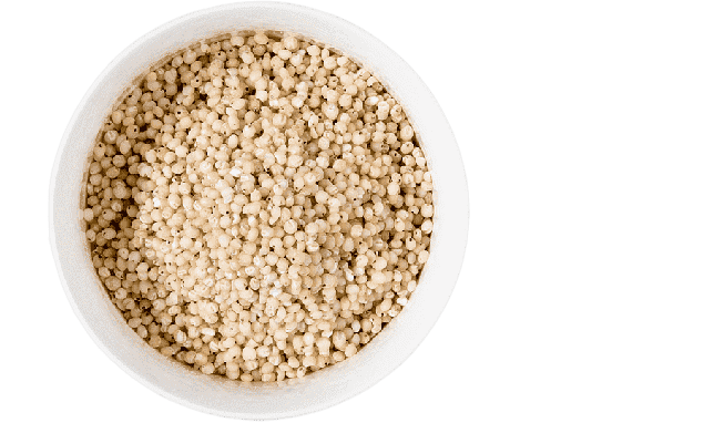 png transparent cereal sorghum gluten free diet bran flour flour food whole grain gluten removebg preview