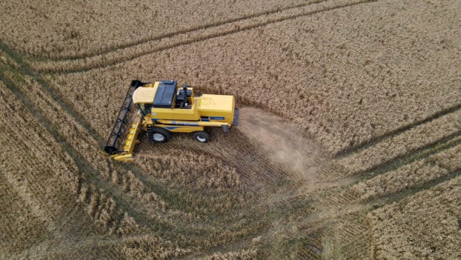 Chuva afeta qualidade do trigo no Paraná e cereal emperra nos armazéns