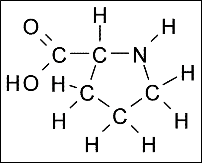 Figura 4 – Estrutura molecular da prolina. Disponível em: http://www.explicatorium.com/quimica/aminoacido-prolina.html.