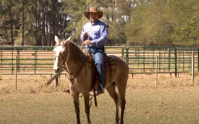 Como treinar seu cavalo para participar de Cavalgadas?