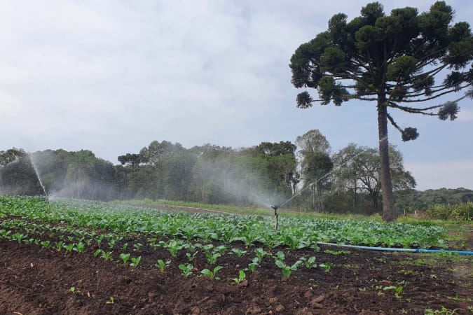 Prêmio Orgulho da Terra valoriza uso de tecnologias na agropecuária paranaense