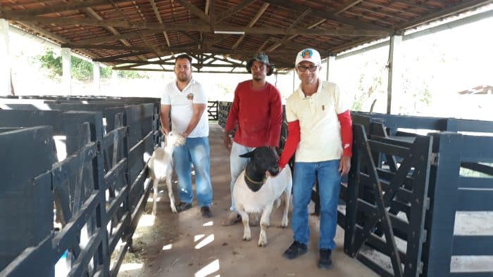 Novo Centro de Reproducao de Caprinos e Ovinos em Andorinha