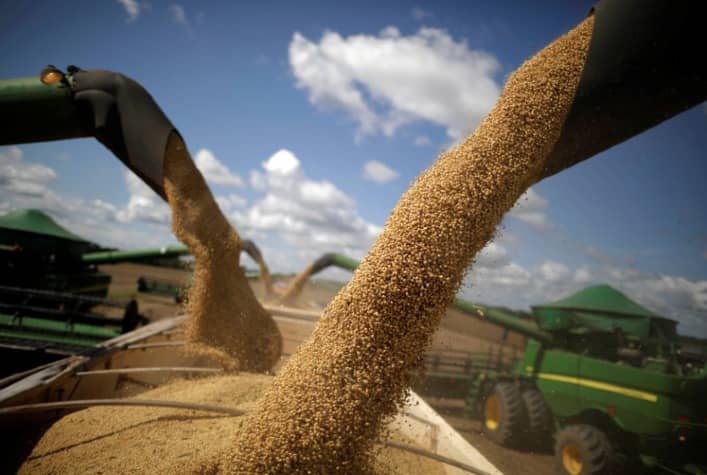 StoneX eleva previsao de colheita soja do Brasil 2324 reduz