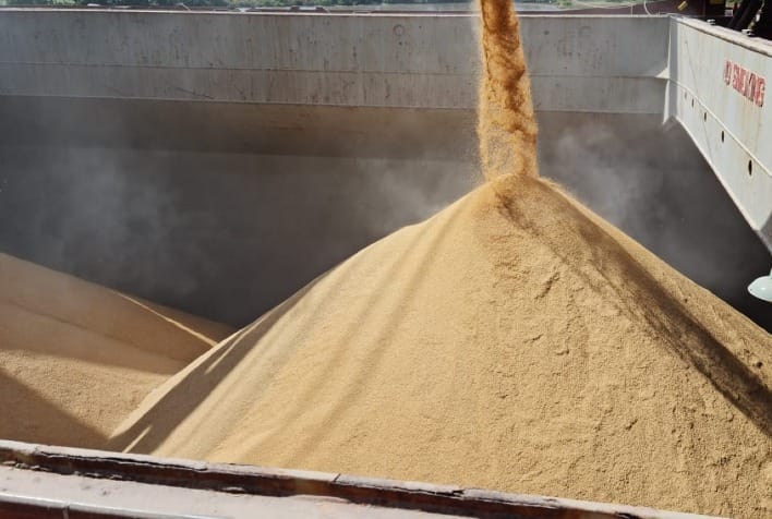 Exportadores de arroz basmati da Índia recebem pedidos de embarques antecipados