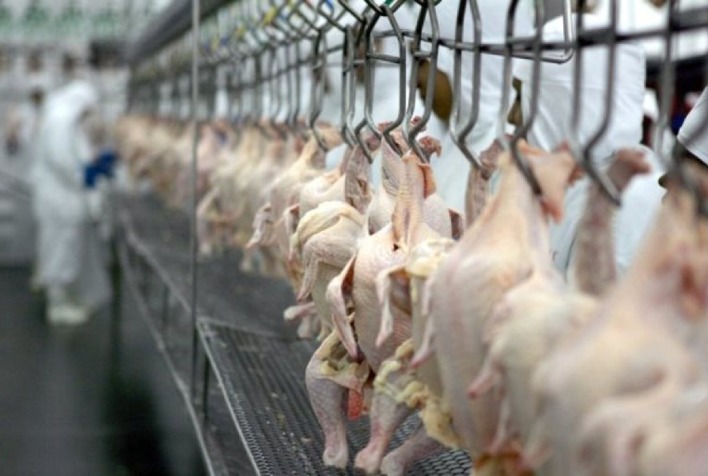 Japao retira suspensao de exportacao de carne de frango do