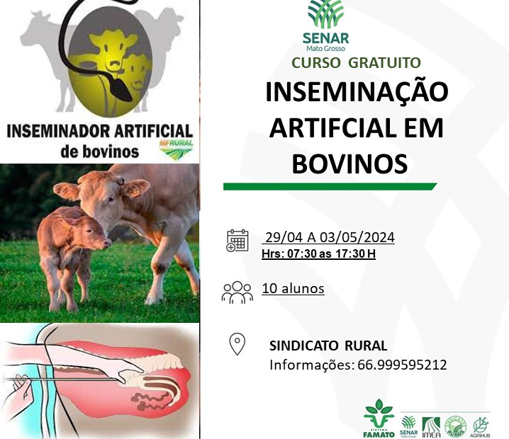 Curso de inseminação de bovinos | Notícias Interativa - Notícias do Vale do Araguaia e Região