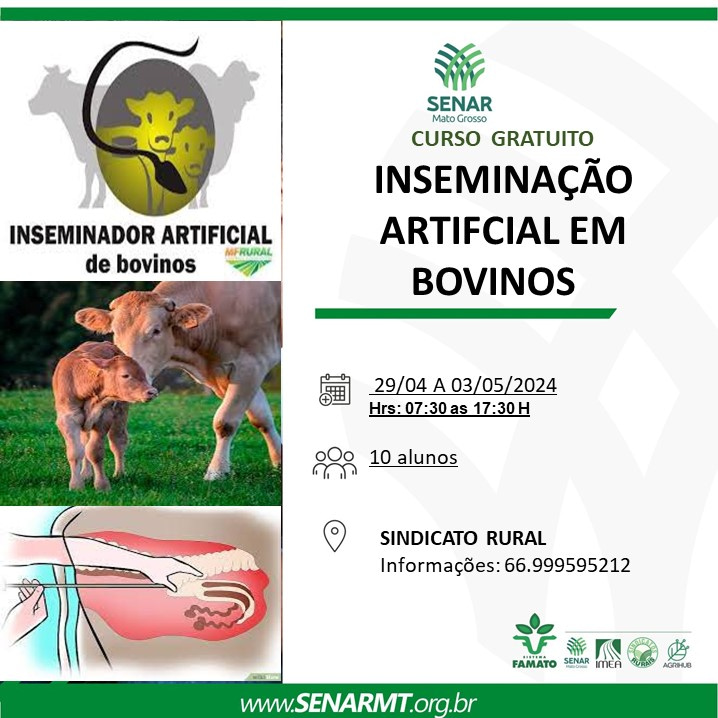 Curso de inseminação de bovinos | Notícias Interativa - Notícias do Vale do Araguaia e Região