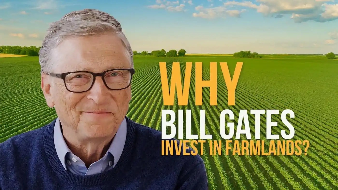 Bill Gates investe R$ 60 milhões em startup para reduzir emissões do gado, produto será testado no Brasil