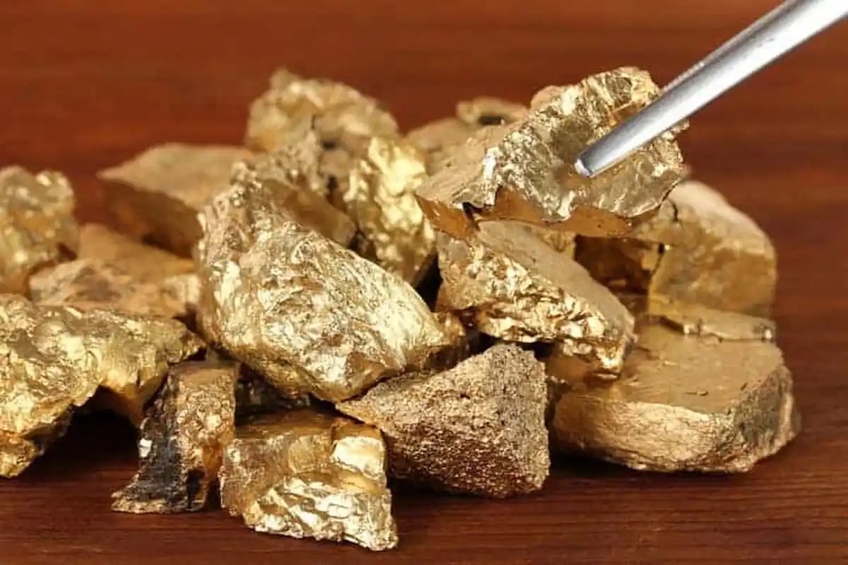 Extração de ouro sem mercúrio, Pelicano o primeiro sistema no Brasil e talvez no mundo