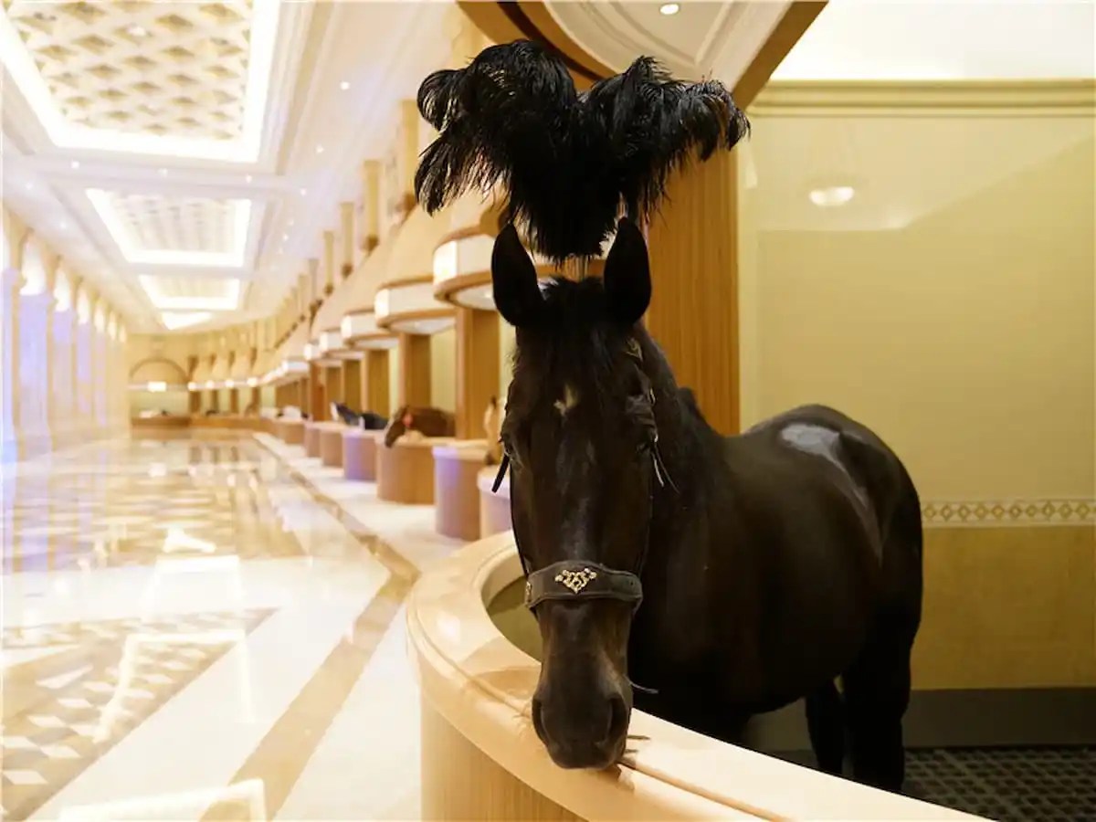 único palácio de cavalos de luxo do mundo