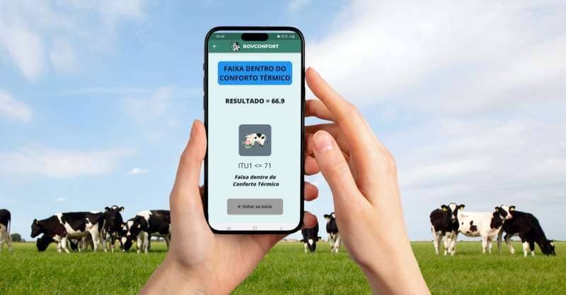 Aplicativo ajuda a calcular conforto térmico para bovinocultura de leite