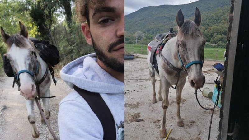 Jovem percorre 500 km com cavalo cego em busca de cura para o animal