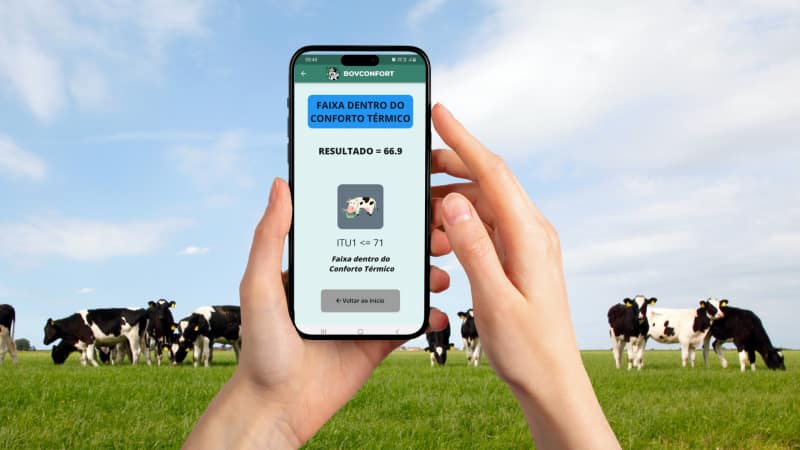 Aplicativo ajuda a calcular conforto térmico para bovinocultura de leite