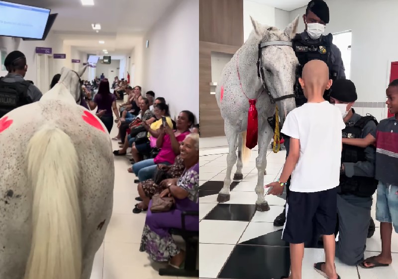 Cavalo da PM visita crianças com câncer e leva alegria a hospital do MT