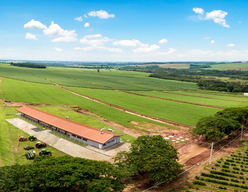Curso técnico gratuito no interior de São Paulo prepara profissionais para o setor agropecuário em dois semestres letivos