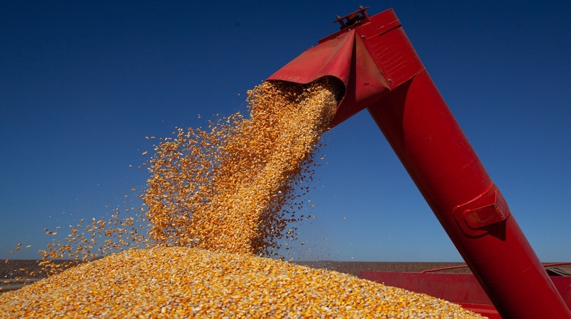 Exportacao de milho em janeiro cresce 126 e atinge recorde