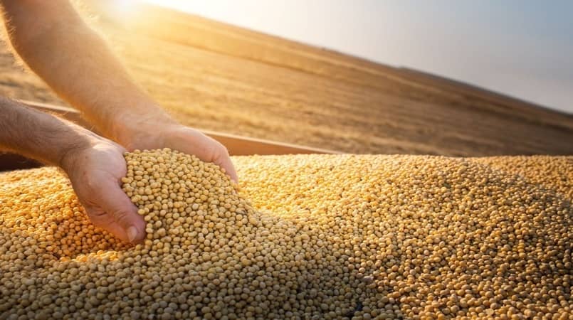 Brasil deve ter a maior safra de grãos da história em 2022/2023