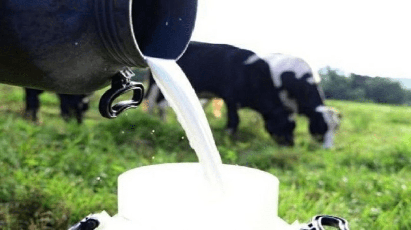 Divulgados preços mínimos do leite, borracha natural, cacau e sisal