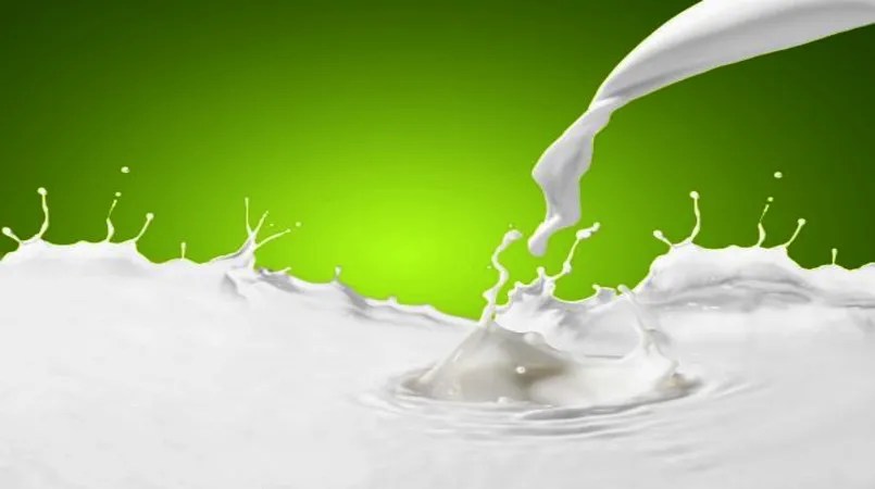 Preço do leite ao produtor cai; importações se mantêm em alta
