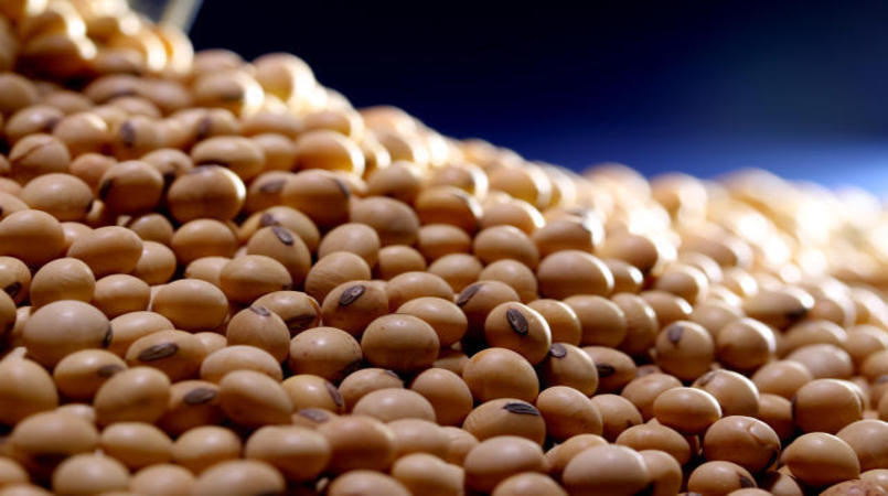 Oferta elevada pressiona valores da soja no Brasil e nos
