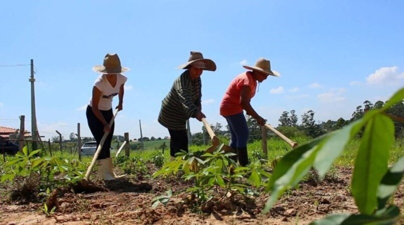 Sancionada lei que prioriza mulheres da agricultura familiar na aquisicao