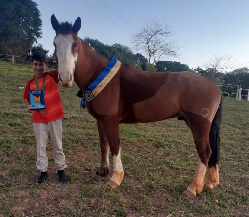 Egua Crioulo participara da prova FEI 3 Equestrian Endurance com