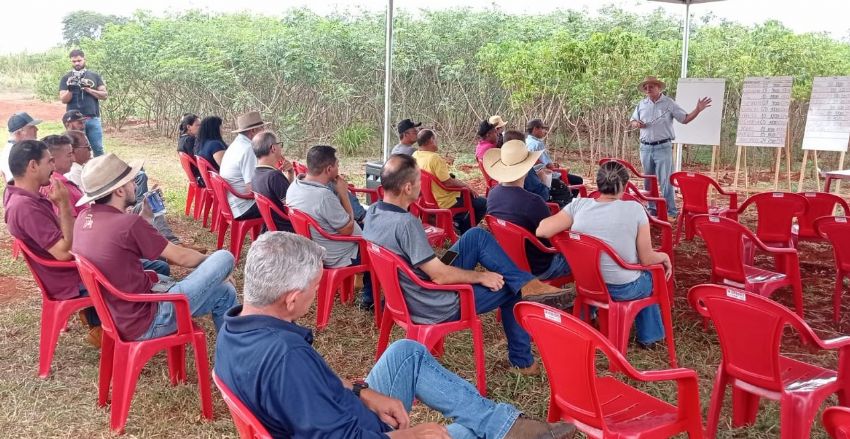 Empaer promove Encontro Tcnico da Cultura da Mandioca realizado no campo experimental :: Agua Boa News