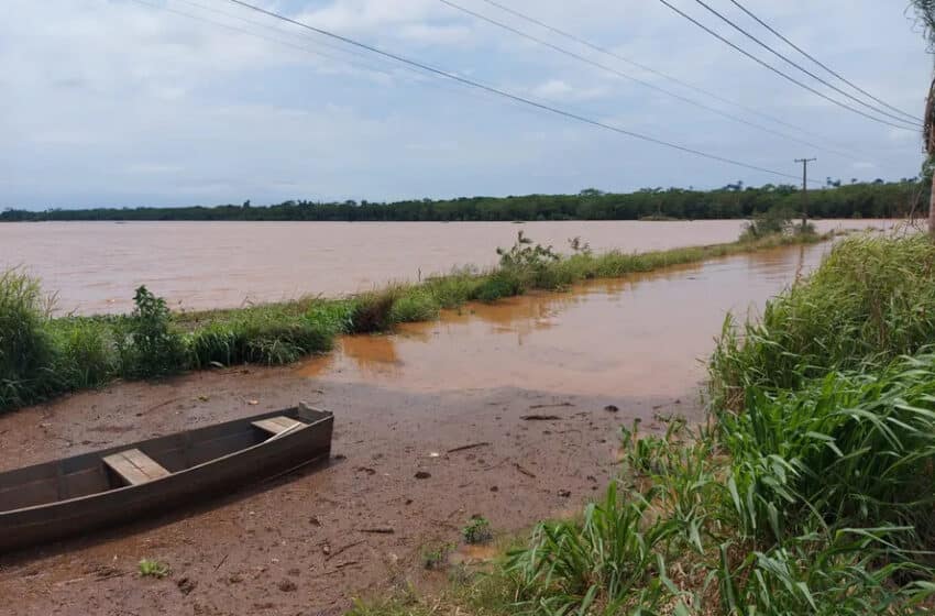 Está tudo debaixo d’água: enchente alaga plantações de arroz no Paraná
